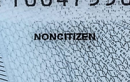New state ID cards and Ohio drivers licenses display the designation "noncitizen" for those who lack citizenship.