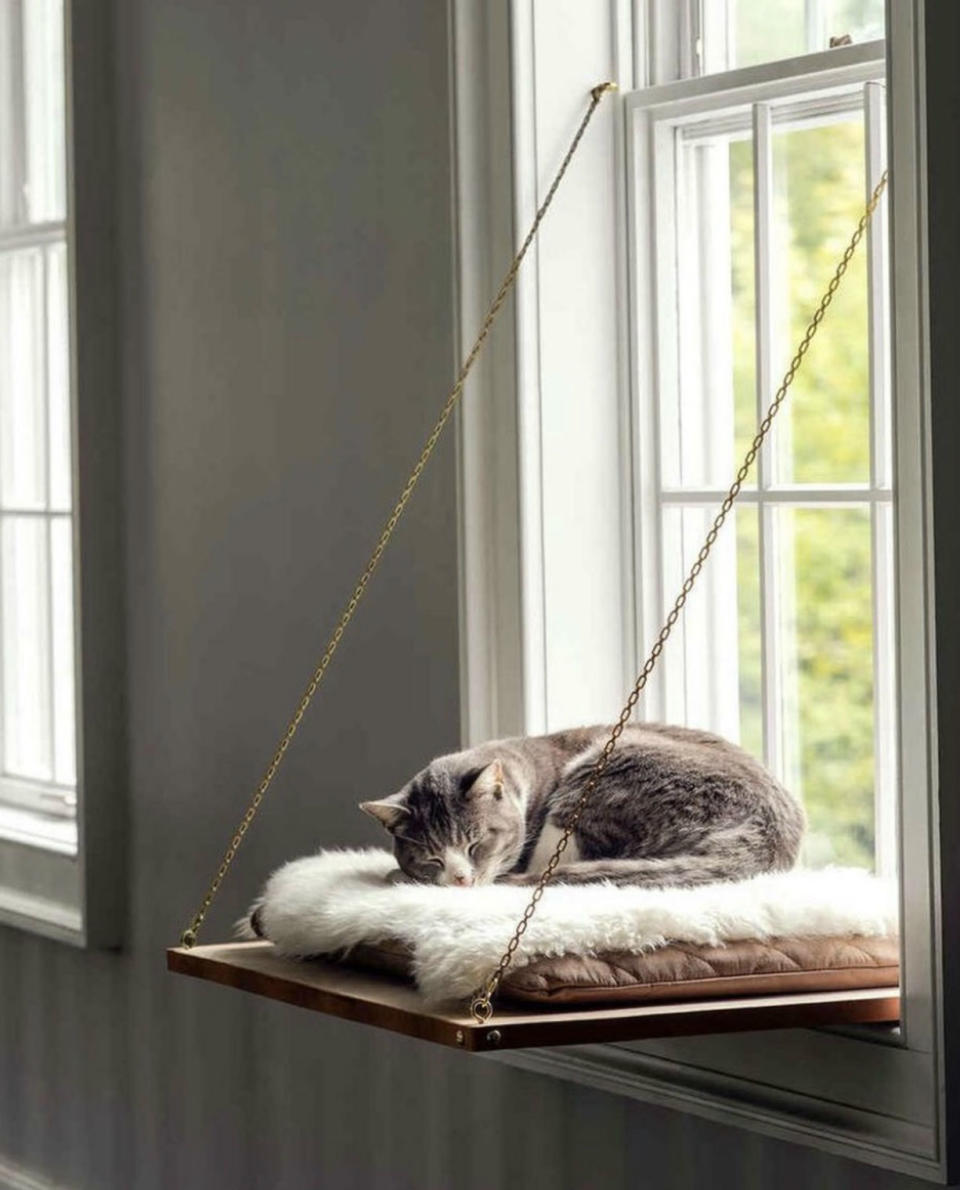 <p>Teniendo en cuenta que a los gatos les encanta mirar por la ventana, esta camita nos parece fantástica para nuestros amigos felinos. (Foto: Instagram / <a rel="nofollow noopener" href="https://www.instagram.com/p/BqUwMSWFUAe/" target="_blank" data-ylk="slk:@dailyofdesign;elm:context_link;itc:0;sec:content-canvas" class="link ">@dailyofdesign</a>). </p>