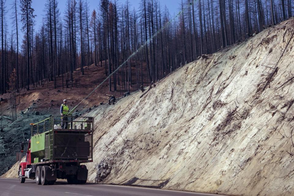 A worker sprays a hydroseeding slurry to promote growth in the aftermath of the Dixie fire in Greenville.