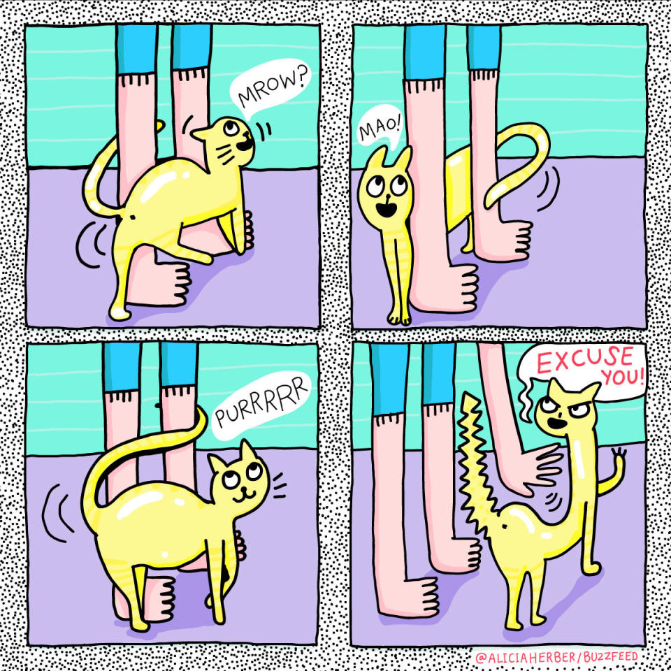 cartoon of a cat rubbing around someone's legs