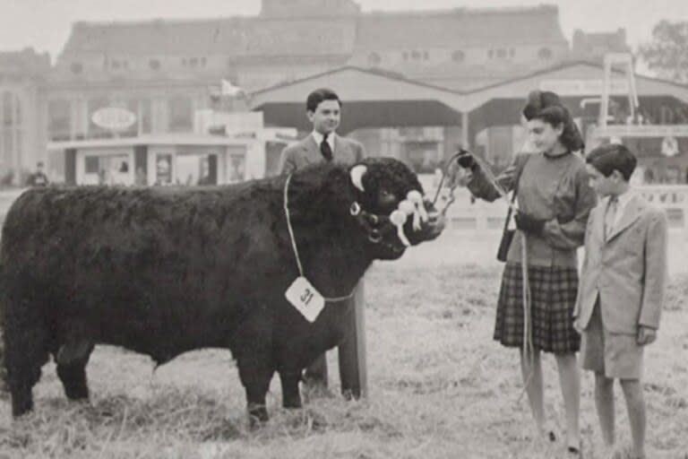 Recuerdo. Susana de Elordy junto a sus hermanos, Juan José y Jorge, con un Campeón Senior Fortin Comet en la Rural de Palermo en 1946