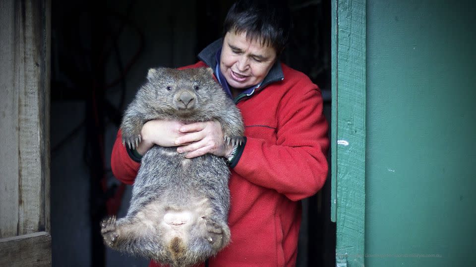 Ms Mooney with one of her larger wombats. Photo: Samantha Gowthorp