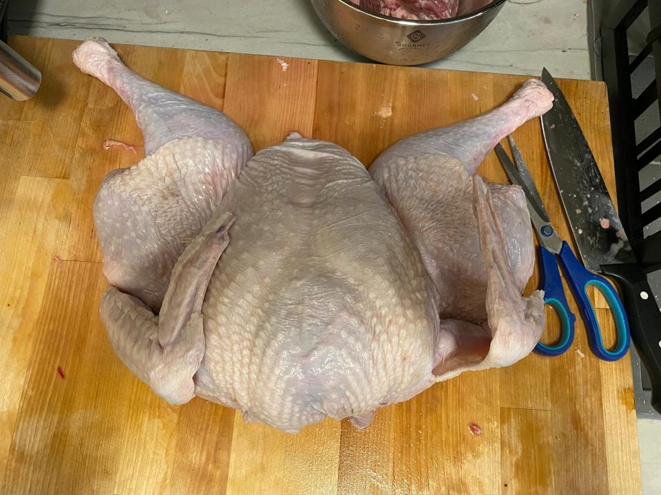 A flattened turkey.