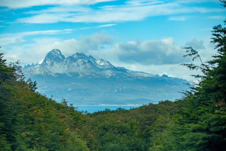 En Tierra del Fuego se puede adquirir dólar blue a $327