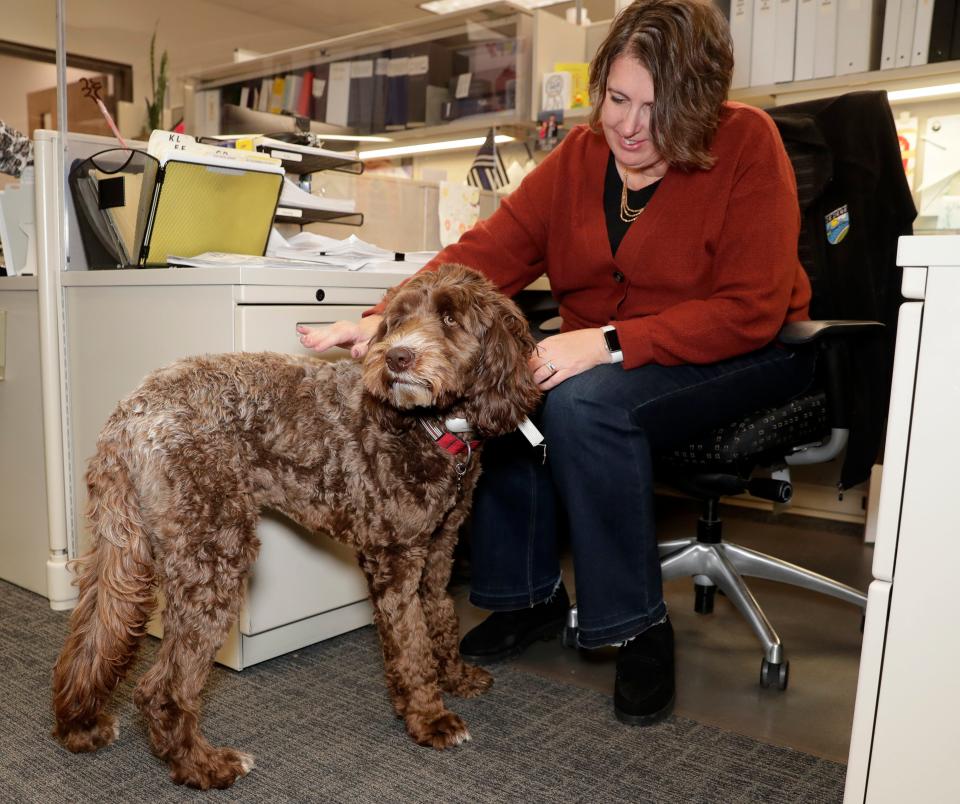 Administrative assistant Kelly Barker gives Stanley some loving during his rounds at De Pere City Hall.