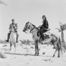 <p>The famous actor and actress spend time riding horses on the island of Djerba in Tunisia, following their London wedding.</p>