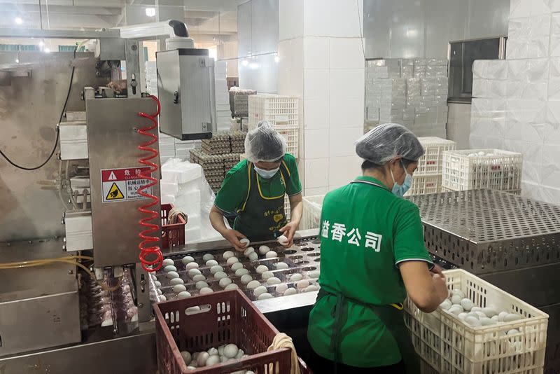 Duck egg products factory in Ruichang