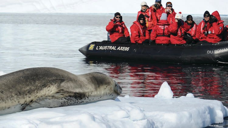 group in small boat approach a seal in antartica