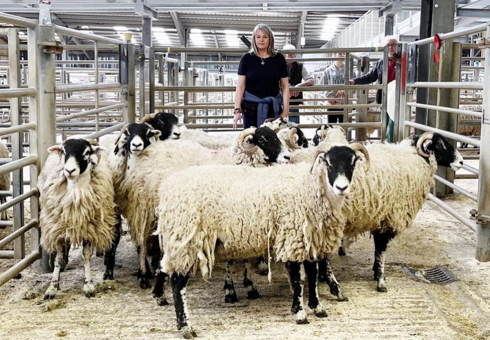 Craven Herald: Maxine Collier with Andrew Ogden’s 1st prize horned geld hoggs at CCM Skipton