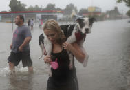 <p>Naomi Coto carries Simba on her shoulders as they evacuate their home after the area was inundated with flooding from Hurricane Harvey on Aug. 27, 2017 in Houston, Texas. (Photo: Joe Raedle/Getty Images) </p>