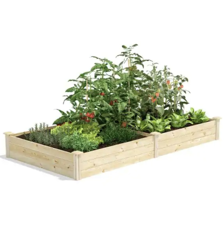 raised garden bed