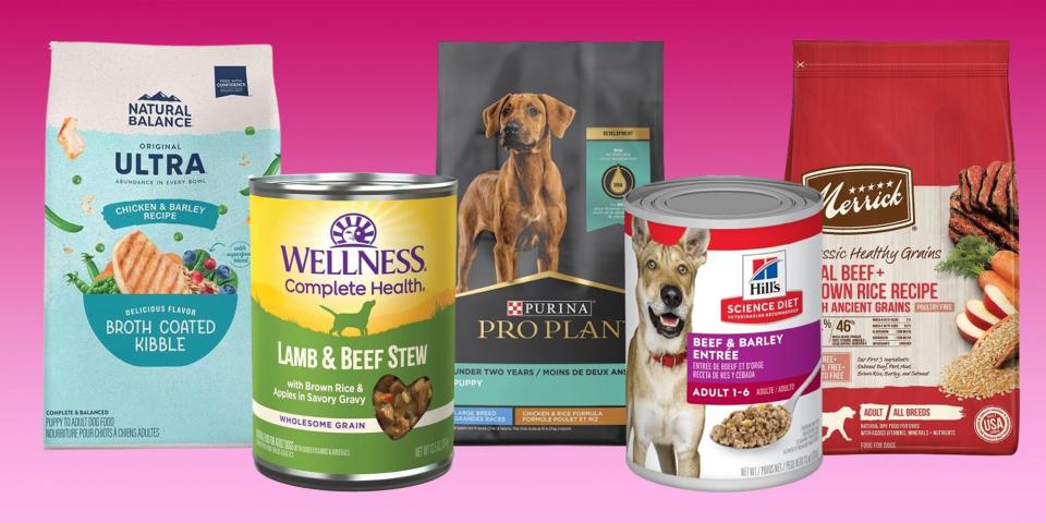 Bags of Natural Balance, Purina, and Merrick dry dog food and cans of Wellness and Hill's wet food are on a pink background.
