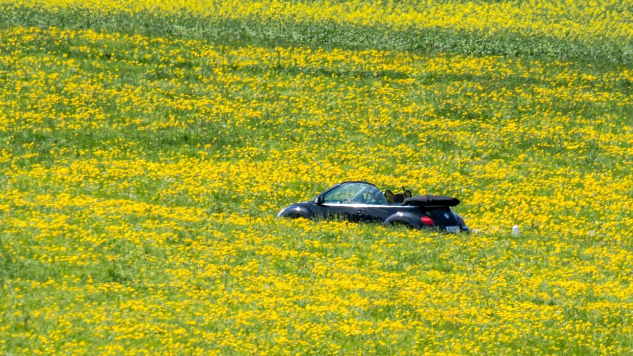 Es wäre so schön, aber die Ostertour ins Grüne fällt angesichts der herrschenen Kontaktsperren und Ausgangsbeschränkungen aktuell besser aus.