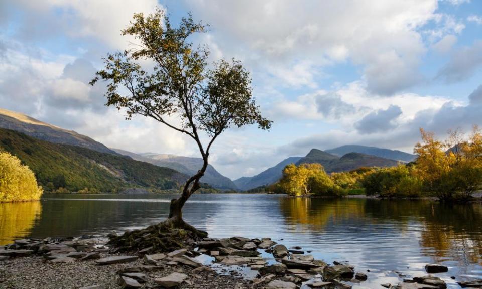 Below the surface: the smooth waters of Llyn Padarn.