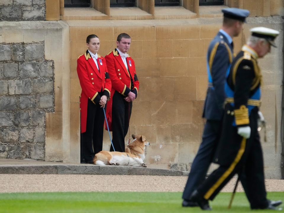 Prince William and King Charles III walked past the Queen's corgis during the funeral procession.