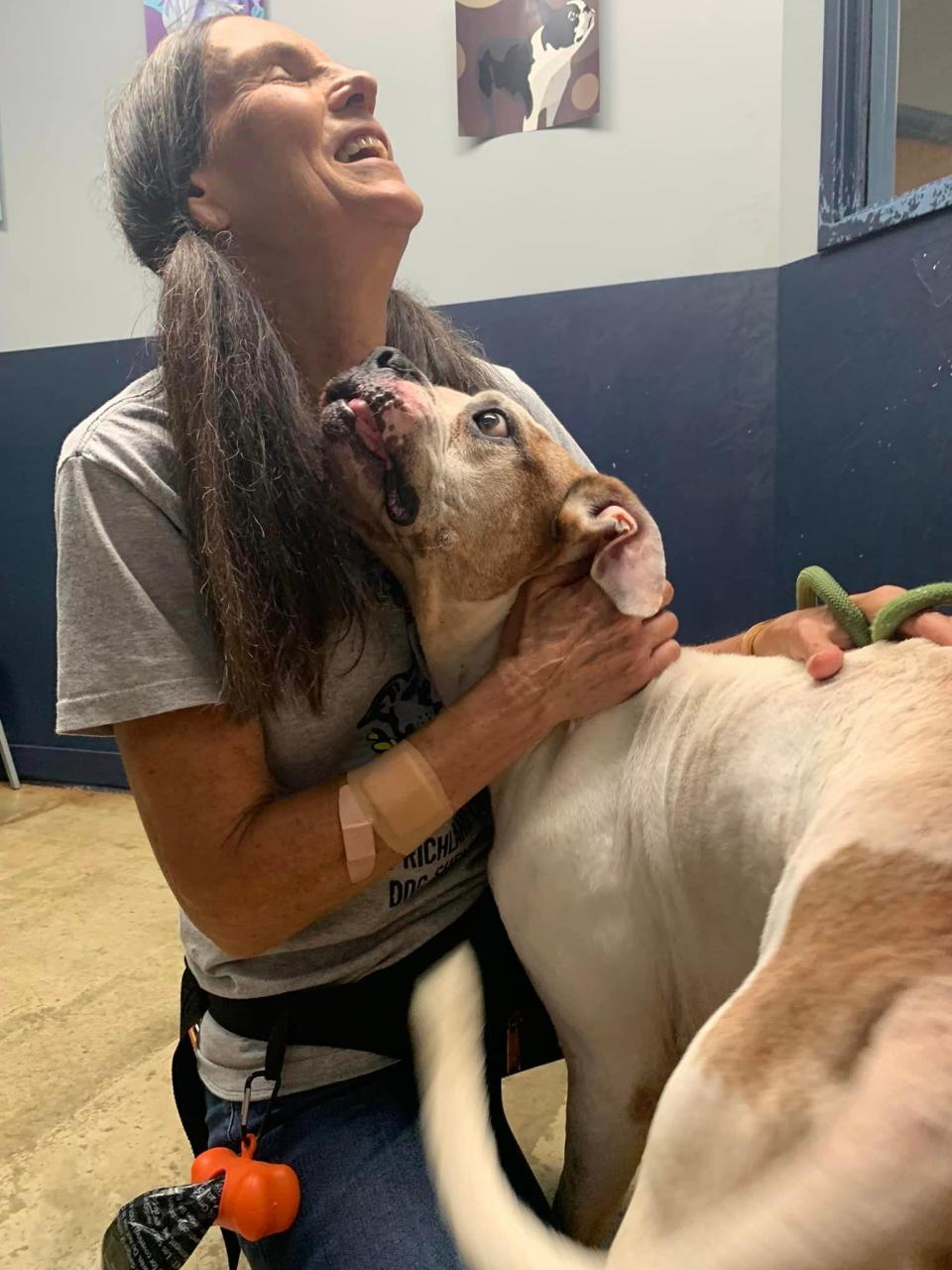 Susan Kochheiser gets some love from one of the residents at the Richland County Dog Warden and Shelter.