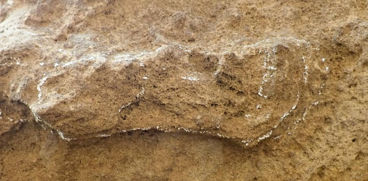 The oldest-known human footprint (Charles Heim)
