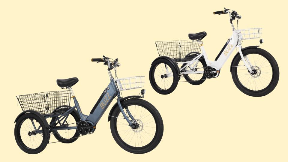 Best Three Wheel Electric Bikes