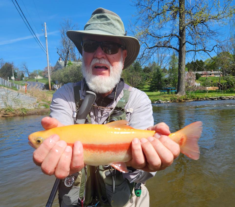 Our fly-angling contributor, Geno Giza, has returned to his Pennsylvania home after a winter in New Smyrna Beach, and is now targeting rainbow trout, as you see.