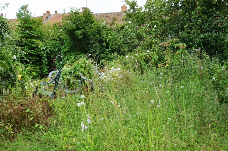 People said they would let their weeds overgrow if they received a note like that. Source: Getty Images, file