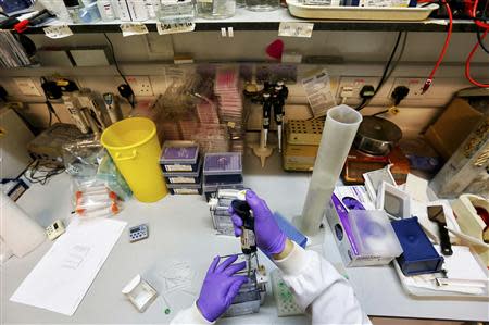 A scientist separates proteins by gel electrophoresis in a lab at the Institute of Cancer Research in Sutton July 15, 2013. REUTERS/Stefan Wermuth