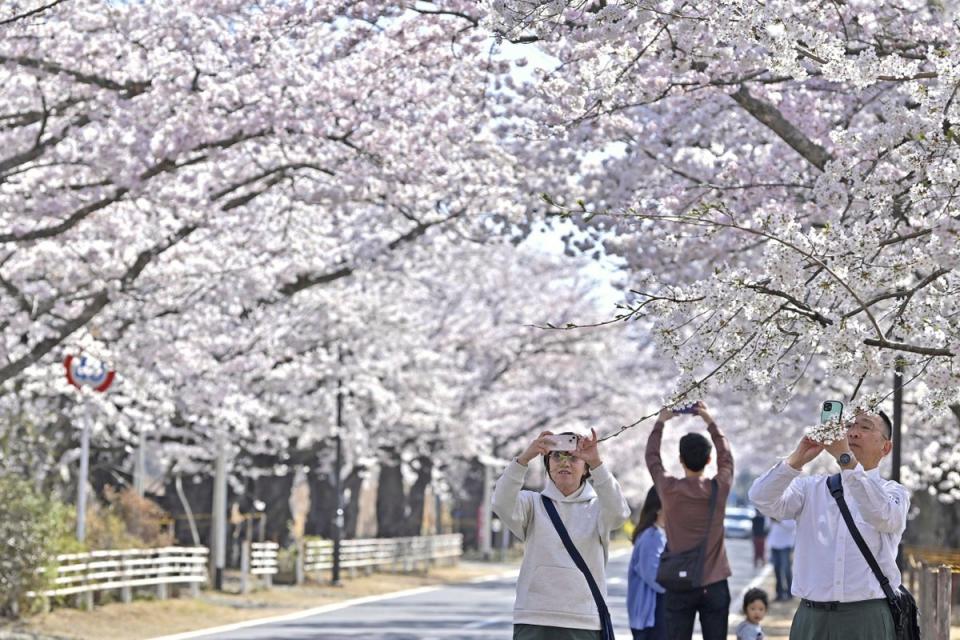 JAPÓN-FUKUSHIMA (AP)