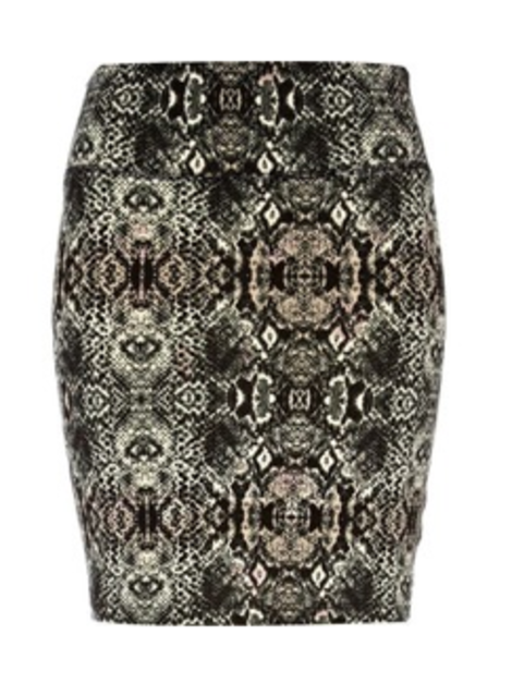 The Snakeskin Skirt