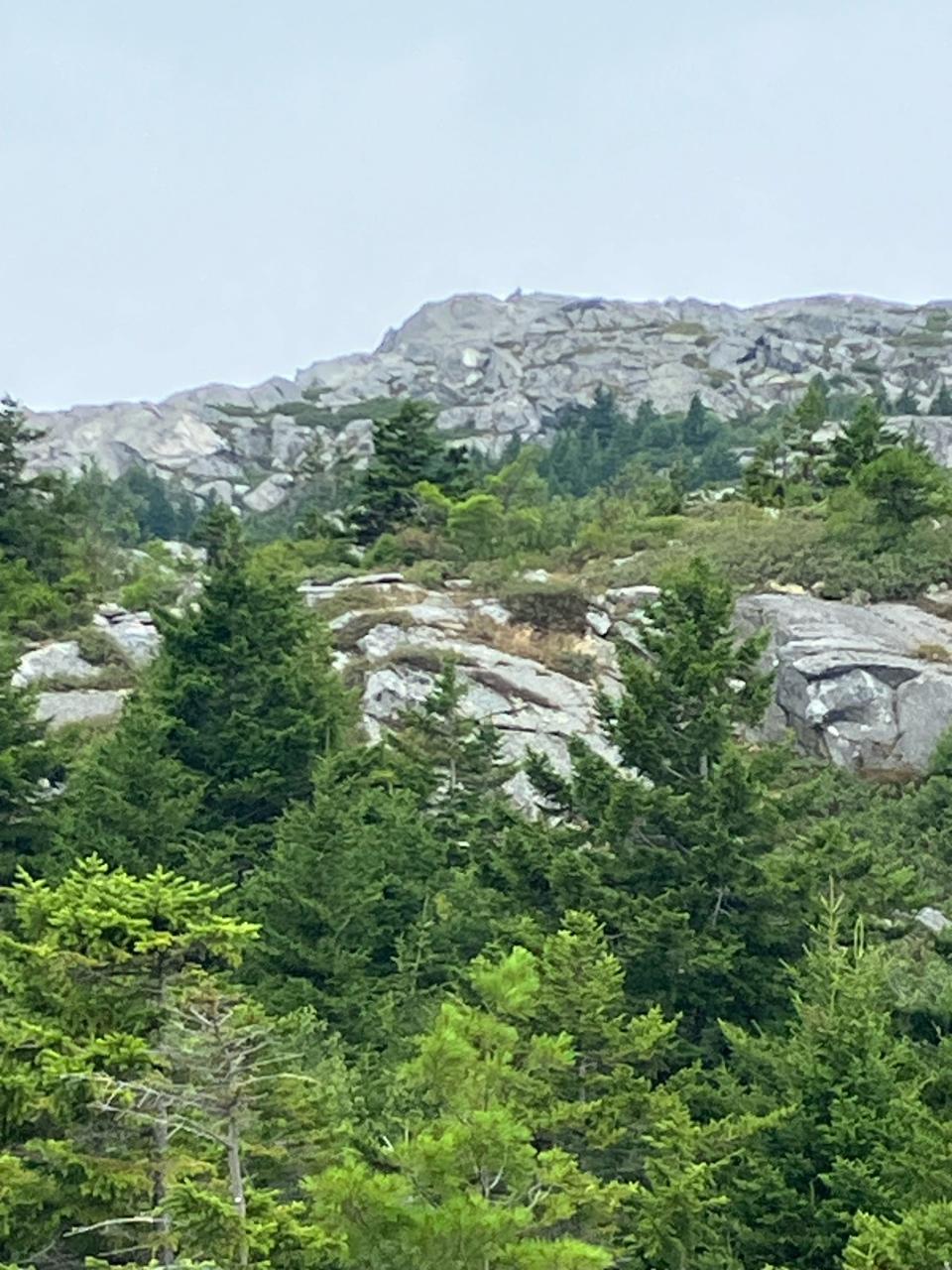 There’s some tough terrain to traverse before getting to the summit of Mount Monadnock.