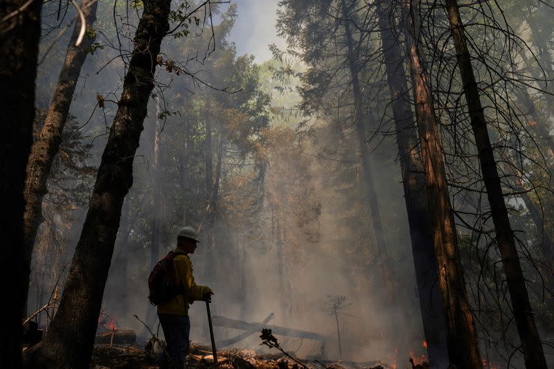 Volunteers learn broadcast burning techniques in Georgetown