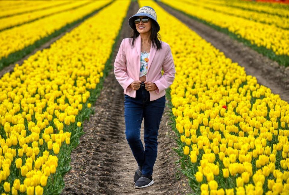 Eastern Daily Press: Jane Bridger from Solihull admires the tulip fields