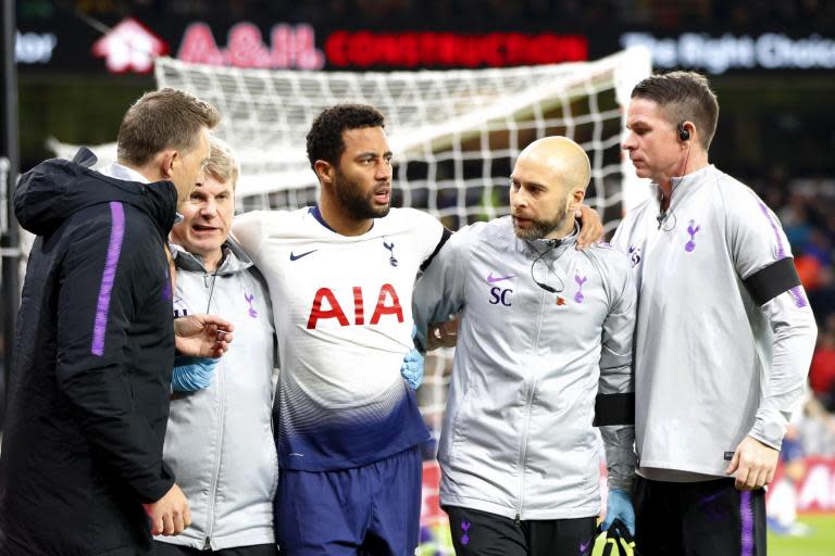 Tottenham injury news: Mousa Dembele travels to Qatar for specialist ankle treatment