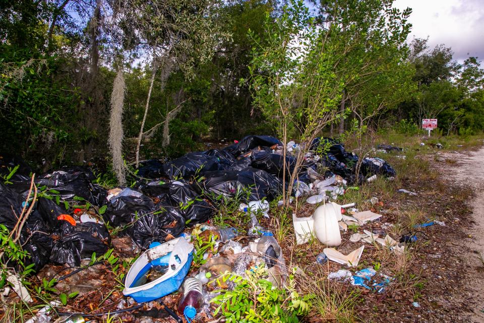 Several bags of household garbage and other items were dumped illegally in an empty lot near the corner of SE 102nd Terrace and SE 125th Lane on 125th Lane in Belleview.