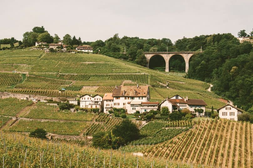 Lutry, outside Lausanne, is famed for its beautiful countryside vistas