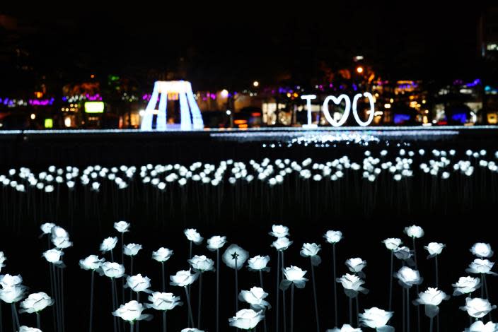 白色玫瑰花燈海（圖片來源：台南市政府）