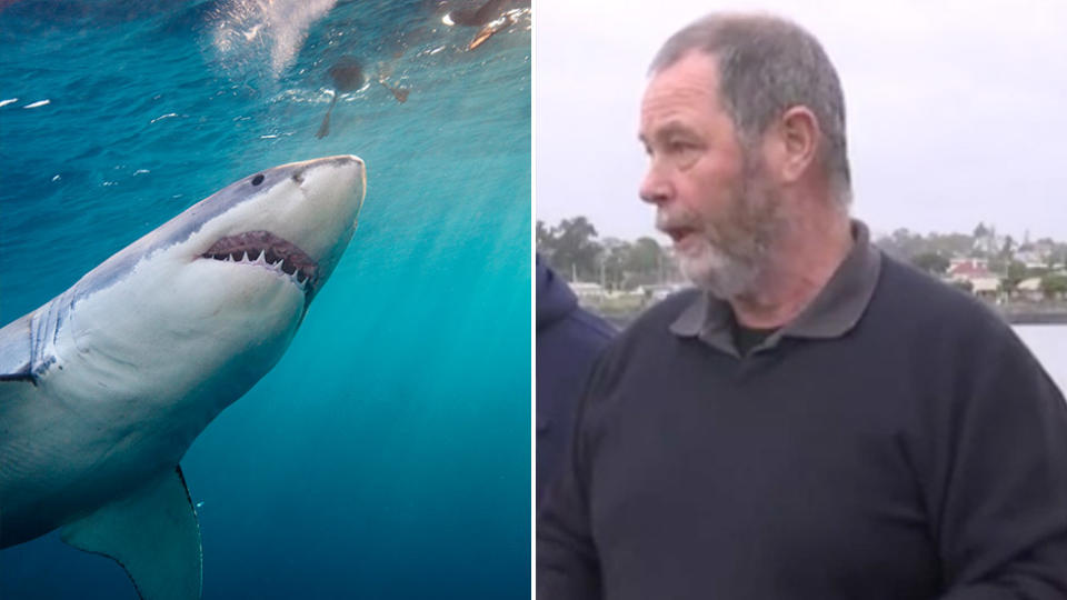 The boy's grandfather, David Arnott (right), speaks to media after the Tasmanian shark attack. Pictured left is a stock image of a shark in water.