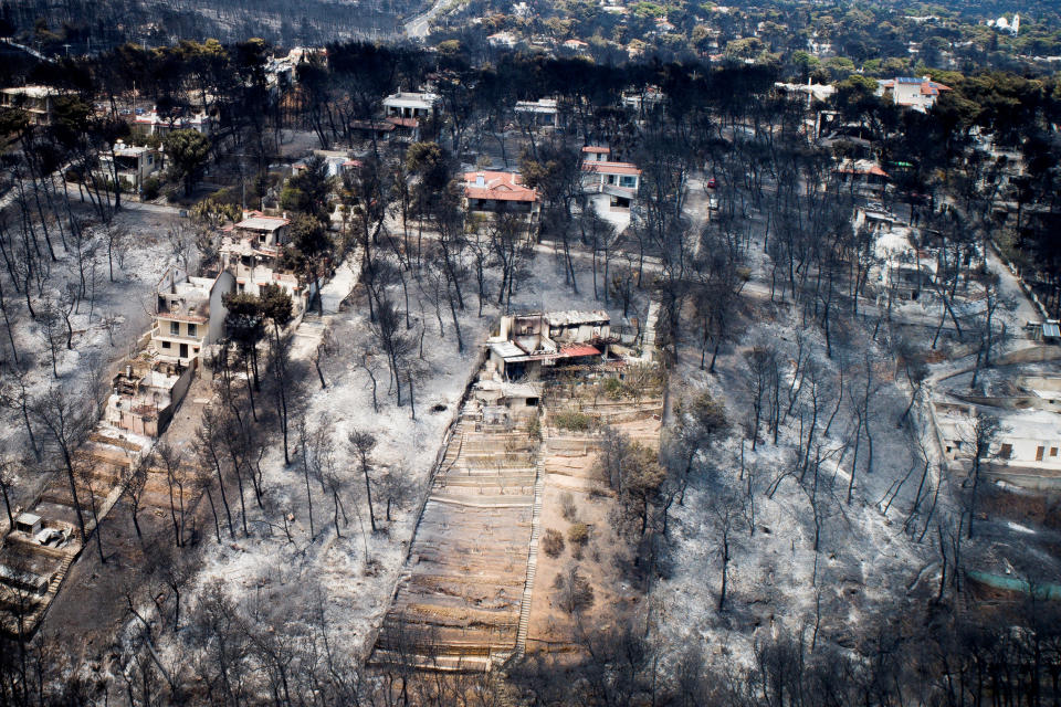 Pictures of the week: Greek wildfires aftermath