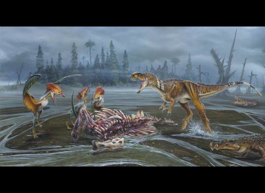 The scavenger Rugops, a dinosaur from the Late Cretaceous that lived in what is now Africa, driving a trio of the pterosaur Tupuxuara from the corpse of the sail-backed iguanadontid Ouranosaurus. The crocodylomorphs, relatives of the modern crocodile, are the 'boar-croc' Kaprosuchus. 