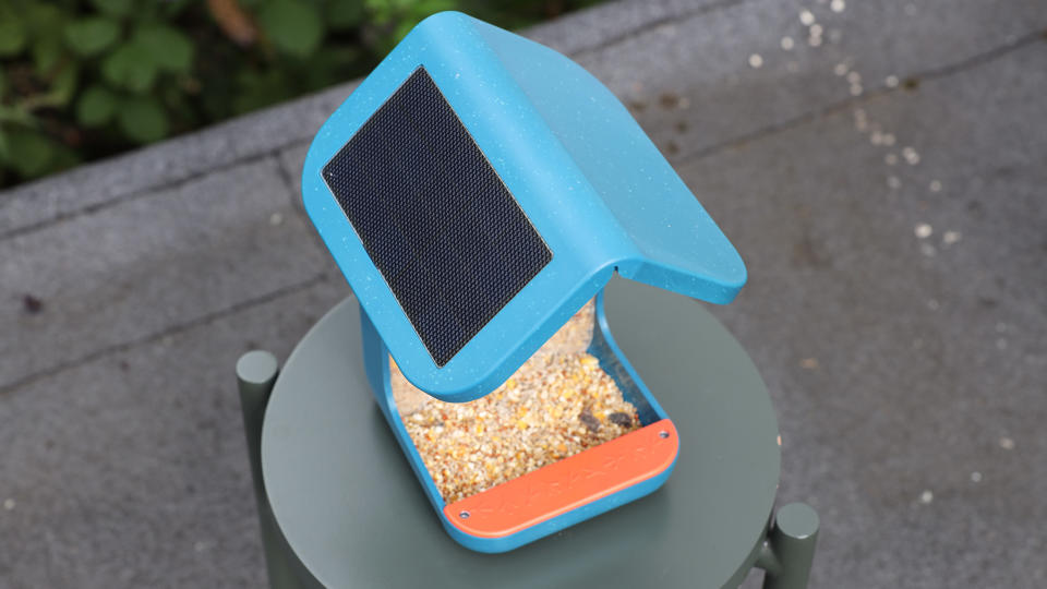 Birdbuddy Smart Feeder in a garden