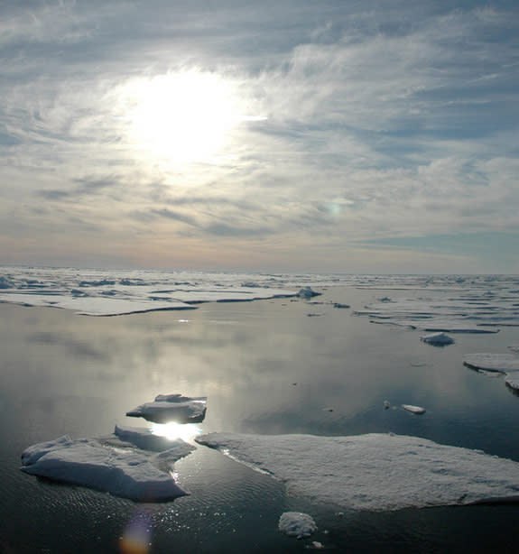 The dramatic loss of Arctic sea ice this summer is just one of the signs global warming has not stopped, scientists say.