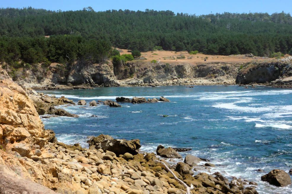 Gerstle Cove Marine Reserve, Salt Point State Park, California