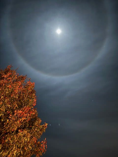 A lunar halo seen over Manor on Nov. 29, 2023. (Courtesy Lizette Daywood)