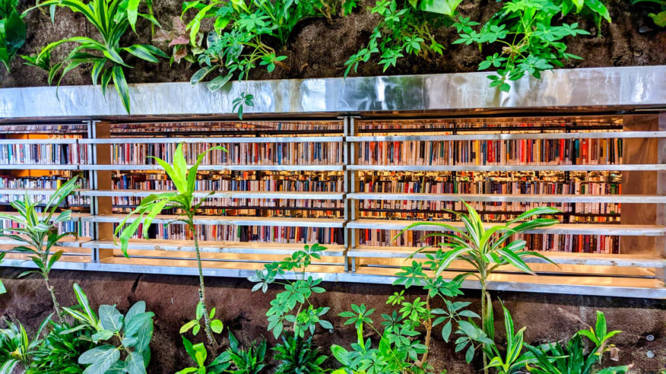 <div class="inline-image__caption"><p>Toronto Reference Library living wall. </p></div> <div class="inline-image__credit">Courtesy of Brandon Withrow</div>