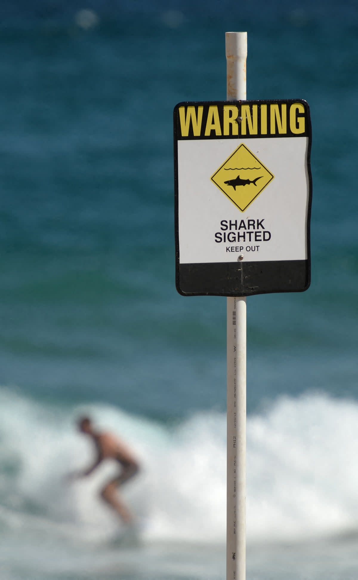 Beach signs in NSW (stock photo) (AFP via Getty Images)