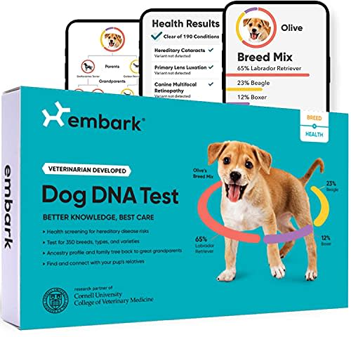 Embark | Dog DNA Test | Breed & Health Kit | Breed Identification & Canine Genetic Health Scree…