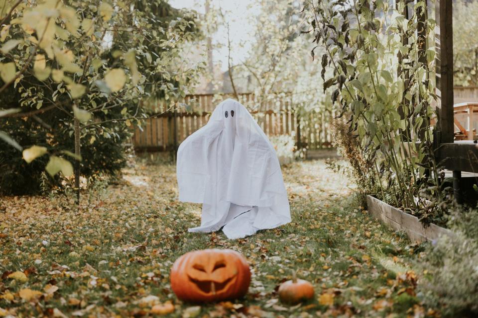 outdoor halloween decorations