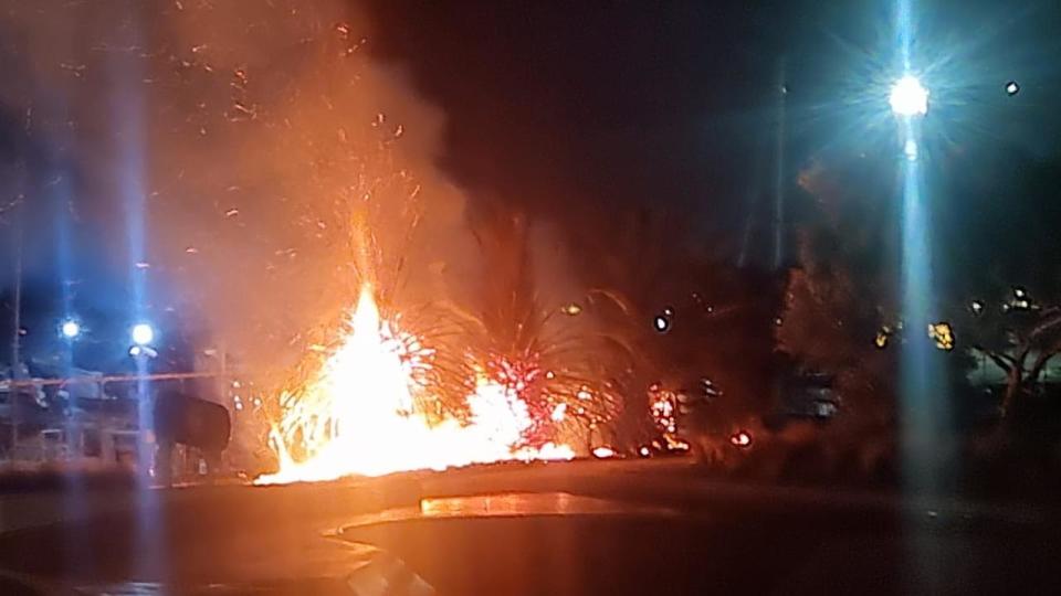 Palm trees were set on fire. Image: Supplied