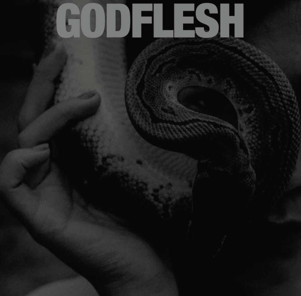 Godflesh Purge