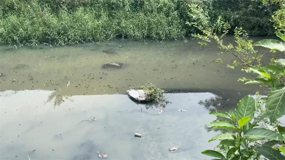 高雄人喝養屏東豬廢水？  台水：用水經合格處理