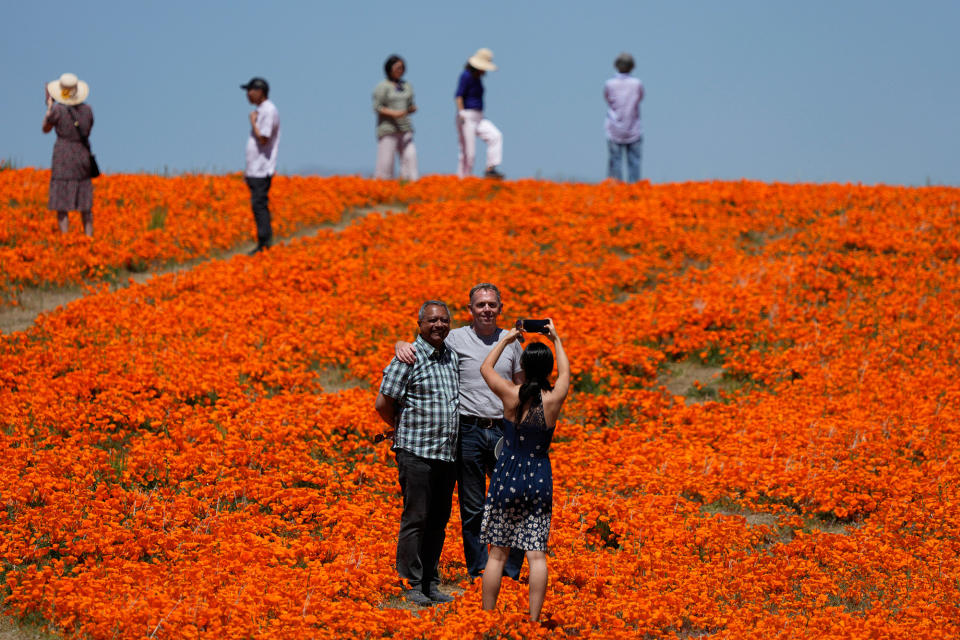 Visitors pose for photos in a field of blooming flowers near the Antelope Valley California Poppy Reserve on April 10, 2023.