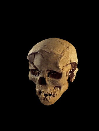 Skull of a man found lying prone in the sediments of a lagoon 30km west of Lake Turkana, Kenya, at a place called Nataruk, is pictured in this undated handout photo obtained by Reuters January 20, 2016.REUTERS/Marta Mirazon Lahr/Cambridge University/Handout via Reuters